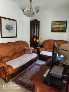 a living room with a couch and a desk with a computer at Apartment Botanicheskiy Sad in Sutomore