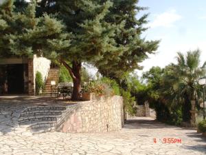 a tree and a stone wall with a table and a tree at Mathia Apartments in Mathía