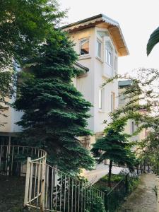 un bâtiment blanc avec un arbre devant lui dans l'établissement VİLLA ATA ATAKENT, à Trabzon