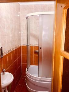 a bathroom with a shower with a toilet and a sink at Карпатський будинок in Izki