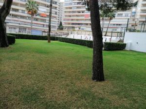 a tree in a park next to a building at family apartment near of beach in Benidorm