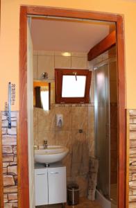 een badkamer met een wastafel en een douche bij Eszter Nyaralóház in Zánka