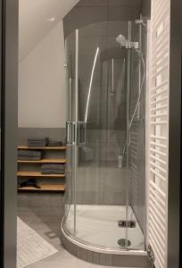 a shower with a glass door in a bathroom at Eldenholz FeWo8 in Waren