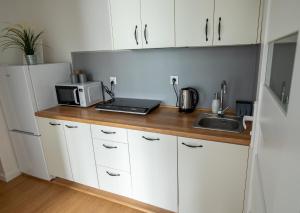 Kuchyňa alebo kuchynka v ubytovaní Apartament Iga