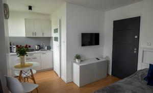 Η κουζίνα ή μικρή κουζίνα στο Apartament Ola