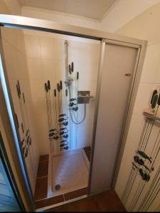 a shower with a glass door with many knives at La casa rosa in Sernio +22 photos