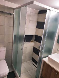 a shower with a glass door in a bathroom at Sea View Apartments Nikos in Nea Peramos