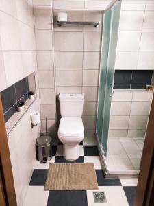 a small bathroom with a toilet and a shower at Sea View Apartments Nikos in Nea Peramos
