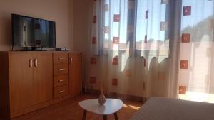 TV a/nebo společenská místnost v ubytování Apartment A&M