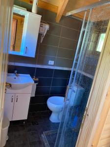 een badkamer met toilet, wastafel en douche bij 5 Stinet in Koman