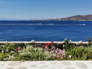 a view of a body of water with flowers at Ithaca in Perdika