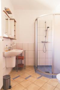 uma casa de banho com um chuveiro e um lavatório. em Wein & Gästehof Erlacher em Hartmannsdorf
