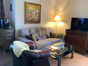 ein Wohnzimmer mit einem Sofa und einem TV in der Unterkunft Apartman Golf Lux in Bük