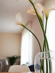 Зображення з фотогалереї помешкання So Fine - Apulian Flats у Барі