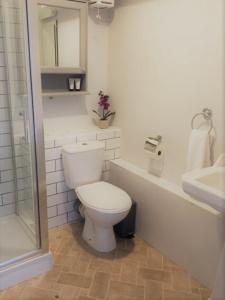 a bathroom with a toilet and a shower and a sink at Beautiful 1 bed cottage in countryside in Tring