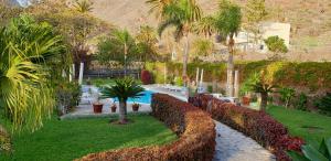 a garden with palm trees and a swimming pool at Finca Borbolan y La Roseta in Valle Gran Rey