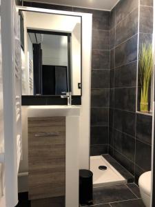 La salle de bains est pourvue d'un lavabo et d'un miroir. dans l'établissement Studio climatisé avec balcon face aux arènes d'Arles, à Arles