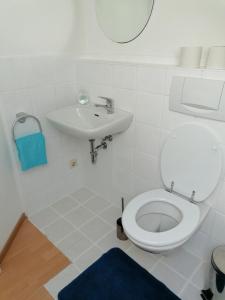 La salle de bains est pourvue de toilettes blanches et d'un lavabo. dans l'établissement Thomas Haus, à Guntzbourg
