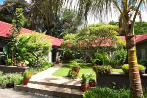 a garden with a house with a lot of plants at Tulia Retreat Hotel and Spa in Arusha