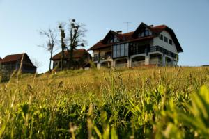 a house sitting on top of a grassy hill at Wooden fairytale in Lesično