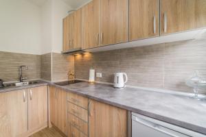a kitchen with wooden cabinets and a counter top at Top-Top in Podgorica