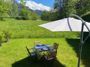 a table and chairs under an umbrella in a field at Appartement lumineux et cosy en rez de jardin in Saint-Gervais-les-Bains