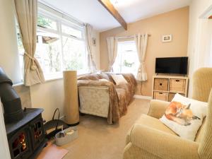 a bedroom with a bed and a fireplace and a television at Redwood Lodge in Wrexham
