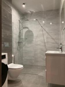 ein Bad mit einer Dusche, einem WC und einem Waschbecken in der Unterkunft Domek in Cammin in Pommern
