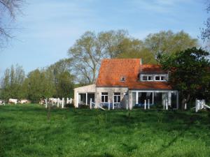 een huis in een veld met koeien op de achtergrond bij Hof ter Langeleye Planke in Damme