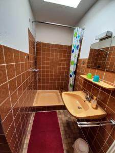 a bathroom with a sink and a shower at Goode Wind in Norden