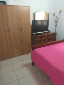 a bedroom with a bed and a tv on a dresser at Philoxenia Holiday Home in Pappadhiánika