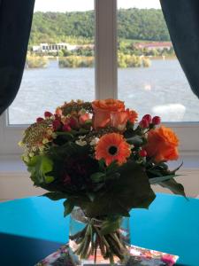 Blick auf einen Fluss in der Nähe der Ferienwohnung