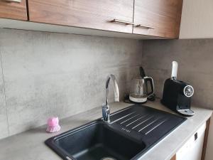 eine Küchentheke mit einer Spüle und einem Mixer in der Unterkunft Penthouse "Michelangelo" GreatView, WiFi & Netflix in Schweinfurt