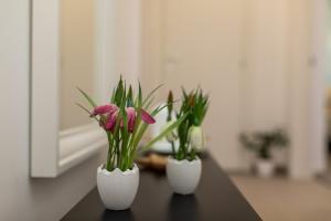 Fotografie z fotogalerie ubytování Apartman Gržetić v destinaci Šilo