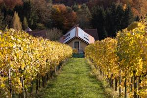 Ogród w obiekcie Weinberghaus am Burgstallkogel