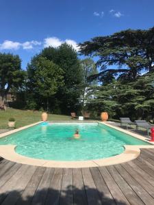Bazén v ubytování Chateau des Janroux nebo v jeho okolí