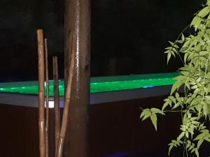 a green light on a pole next to a tree at coucher de soleil vensac ocean Montalivet in Vensac