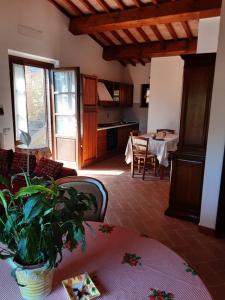 卡薩萊馬里蒂莫的住宿－CasaLina appartamento a Casale Marittimo，客厅配有带盆栽的桌子