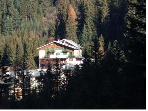 a large house in the middle of a forest at Albergo Pineta in Gerola Alta