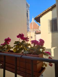 a potted plant on a balcony with a clock tower at Accanto al Duomo in Florence
