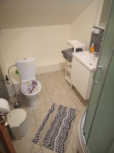 a bathroom with a toilet and a sink at Palūšės Kempingas (kambariai) in Palūšė +5 photos