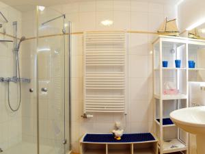 a bathroom with a shower and a sink at Freesenkietz 23 in Zingst
