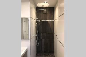 une salle de bain avec douche et lavabo dans l'établissement Appartement 2P Strasbourg centre - Homme de fer, à Strasbourg 22 autres photos