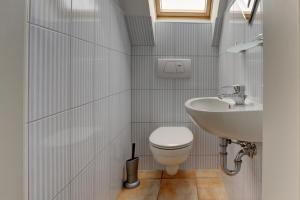 een badkamer met een toilet en een wastafel bij Meeresrauschen 1 in Groß Kirr