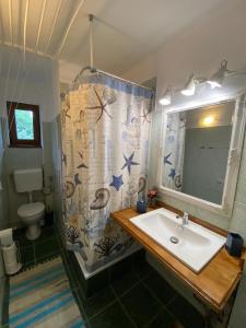 a bathroom with a sink and a shower curtain at La Rossa in Braşov