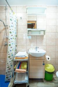 a bathroom with a sink and a shower at Pas Kaziuką namas-sodyba in Ignalina
