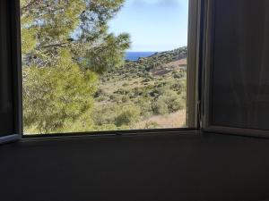 Táj Show holiday homes közelében
