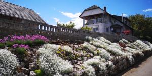 Afbeelding uit fotogalerij van Szabó Vendégház in Villány