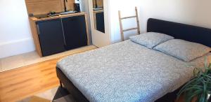 um quarto com uma cama e uma planta em Studio République Centre NETFLIX inclus em Orléans