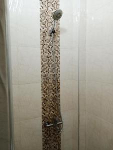 a shower with a glass door with a mosaic tile wall at Résidence Fadi Diamniadio in Dakar